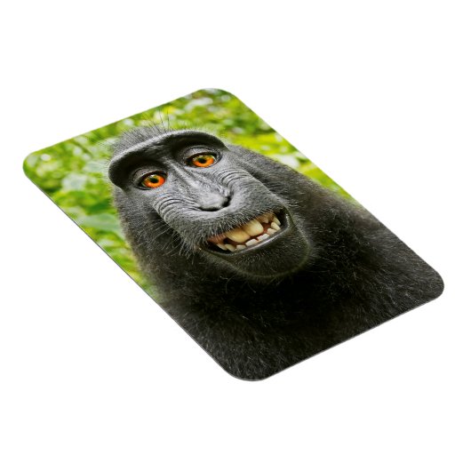 Monkey Selfie Magnet (Rechte Seite)