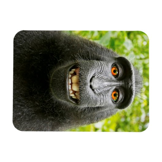 Monkey Selfie Magnet (Horizontal)