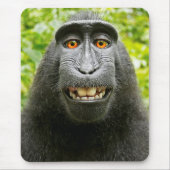 Monkey Selfie Mousepad (Vorne)