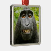 Monkey Selfie Ornament Aus Metall (Rechts)