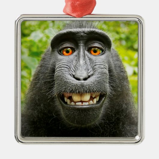 Monkey Selfie Ornament Aus Metall (Vorne)