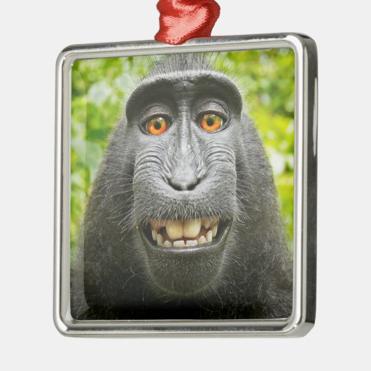 Monkey Selfie Ornament Aus Metall (Links)