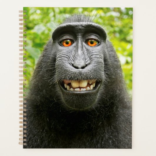 Monkey Selfie Planer (Vorderseite)