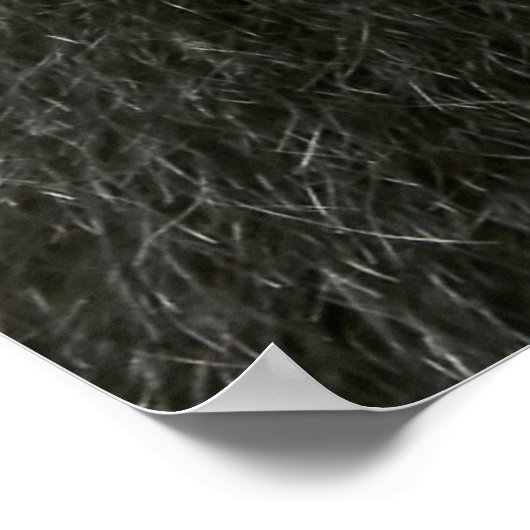 Monkey Selfie Poster (Ecke)