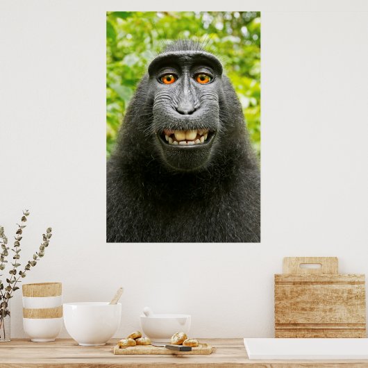 Monkey Selfie Poster (Küche)