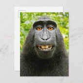 Monkey Selfie Postkarte (Vorne/Hinten)
