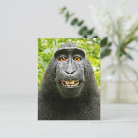 Monkey Selfie Postkarte (Stehend Vorderseite)
