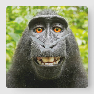 Monkey Selfie Quadratische Wanduhr