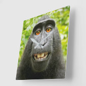 Monkey Selfie Quadratische Wanduhr (Winkel)