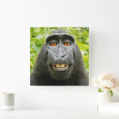 Monkey Selfie Quadratische Wanduhr (Zuhause)