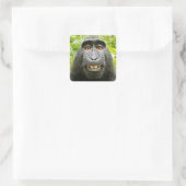 Monkey Selfie Quadratischer Aufkleber (Tasche)