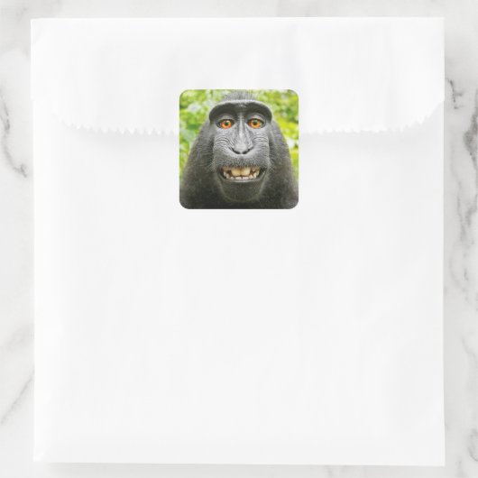 Monkey Selfie Quadratischer Aufkleber (Tasche)