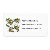 Monkey Shine (Vorne)