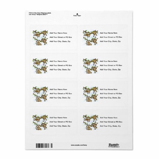 Monkey Shine (Vorne)