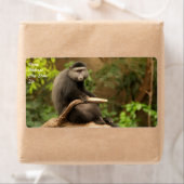 Monkey Shipping Label (Insitu)