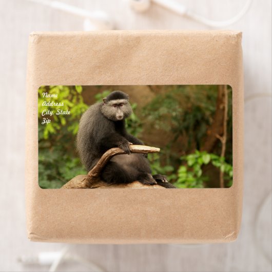 Monkey Shipping Label (Insitu)
