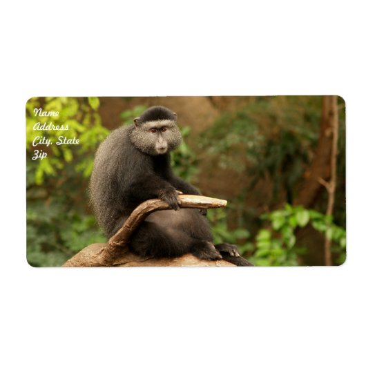 Monkey Shipping Label (Vorne)