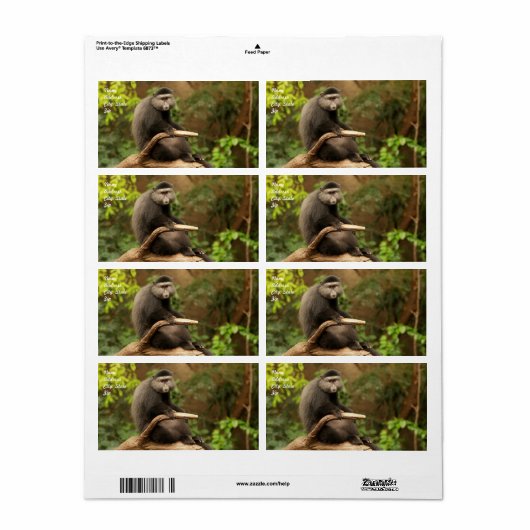 Monkey Shipping Label (Vorne)