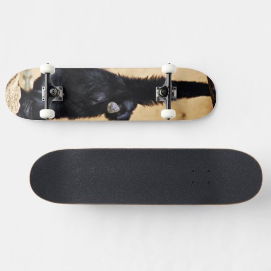 Monkey Skateboard (Horizontal)