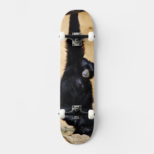 Monkey Skateboard (Vorderseite)