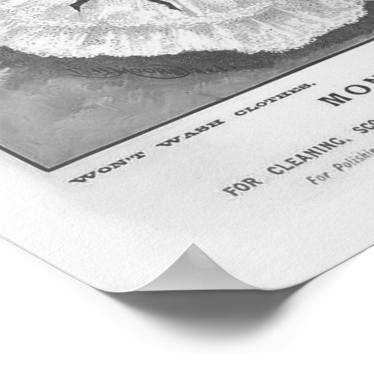 Monkey Soap Poster (Ecke)