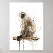 Monkey Vervet Poster (Vorne)
