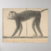 Monkey von Georges Seurat Poster (Vorne)