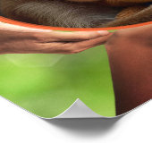 MONKEY WALL ART: YOU ARE LOVED  POSTER (Ecke)