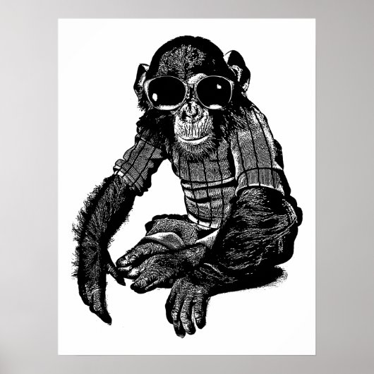 Monkey Wear Sonnenbrillen Kleidung Originelle Kuns Poster (Vorne)