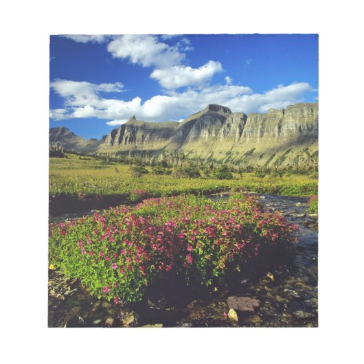 Monkeyblumen am Logan Pass im Glacier National Notizblock (Vorderseite)