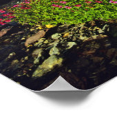 Monkeyblumen am Logan Pass im Glacier National Poster (Ecke)