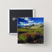 Monkeyblumen am Logan Pass im Gletscher National Button (Vorne & Hinten)