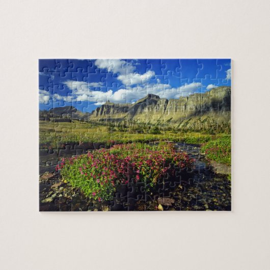 Monkeyblumen am Logan Pass im Gletscher National Puzzle (Horizontal)