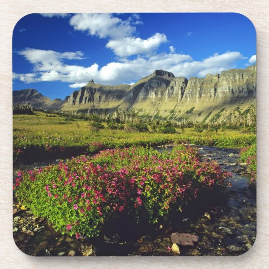 Monkeyblumen am Logan Pass im Gletscher National Untersetzer (Vorderseite)