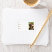 MONKEYS ADRESSAUFKLEBER (Insitu)