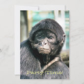 MONKEYS Einladung (Vorderseite)