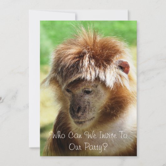 MONKEYS EINLADUNG (Vorderseite)