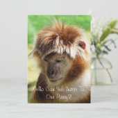 MONKEYS EINLADUNG (Stehend Vorderseite)