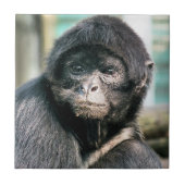 MONKEYS FLIESE (Vorderseite)