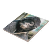 MONKEYS FLIESE (Seite)