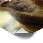 MONKEYS FOTODRUCK (Ecke)