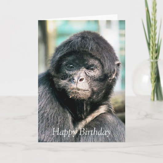 MONKEYS KARTE (Vorderseite)