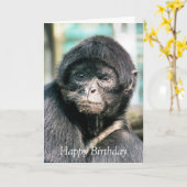 MONKEYS KARTE (Gelbe Blume)