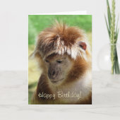 MONKEYS KARTE (Vorderseite)