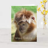 MONKEYS KARTE (Gelbe Blume)