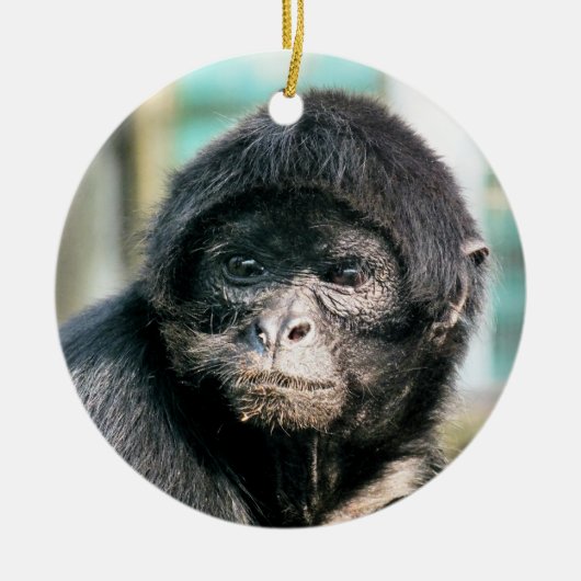 MONKEYS KERAMIK ORNAMENT (Vorne)