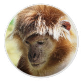 MONKEYS KERAMIKKNAUF (Vorderseite)