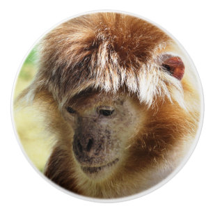 MONKEYS KERAMIKKNAUF