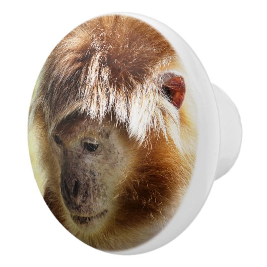 MONKEYS KERAMIKKNAUF (Rechts)