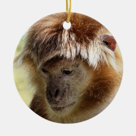 MONKEYS KERAMIKORNAMENT (Vorne)